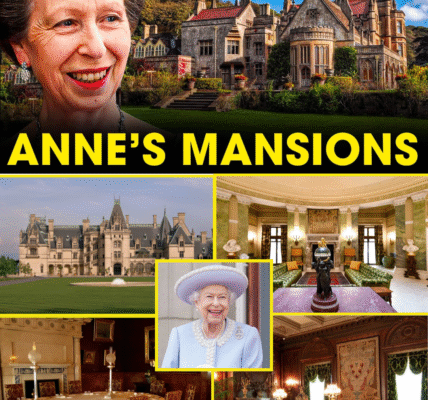 1 HOUR AGO: Inside Princess Anne Royal’s “Old Money” Mansions That Late Queen Left To Her Will Leave You SPEECHLESS