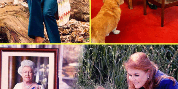 30 MINS AGO: The Fate of Late Queen’s Final Corgis That She Left To Fergie FINALLY SEALED After Andrew’s Title Strip and Royal Lodge Eviction 💥🔥 — Palace’s LATEST Announcement Leaves Everyone SPEECHLESS! 😱👇