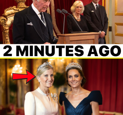 JUST IN: Palace Drops MAJOR Announcement About Duchess Sophie Marking Her Unique Role in British Monarchy – Even Prince Edward Was Unexpected JUST IN: Palace Drops MAJOR Announcement About Duchess Sophie Marking Her Unique Role in British Monarchy – Even Prince Edward Was Unexpected