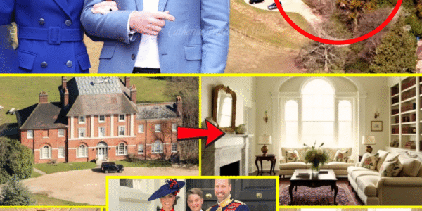Just NOW: Catherine And William’s Unprecedented Strict Regulations At New 8 Bedroom In Forest Lodge Leaves Royal Fans SPEECHLESS – “UNBELIEVABLE!!”