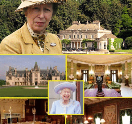 INSIDE Princess Anne’s SECRET £6M Mansion gifted by the Queen Will Leave You SPEECHLESS