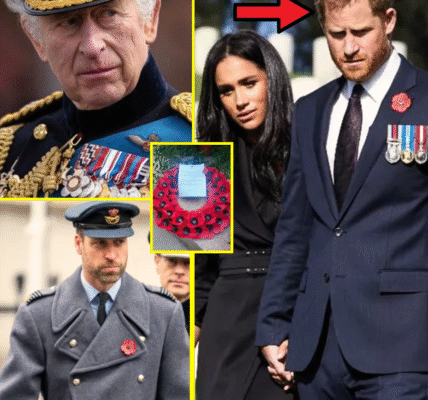 JUST IN: Prince Harry ‘Saddened and Disappointed’ After Remembrance Sunday Request WAS FLATLY Rejected by King Charles JUST IN: Prince Harry ‘Saddened and Disappointed’ After Remembrance Sunday Request WAS FLATLY Rejected by King Charles