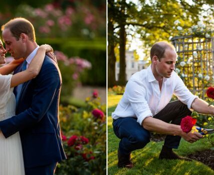 ROSES AT DAWN — THE SWEETEST ROYAL SURPRISE!  Move over, grand gestures — sometimes love blooms quietly in the early morning light. According to the palace grapevine, royal gardeners were stunned at sunrise when they spotted Prince William — yes, the future King of England — out in the palace gardens with pruning shears in hand! Eyewitnesses say the Duke was on a secret romantic mission, personally cutting roses for Princess Kate before she woke up. He even arranged them himself (a royal first, according to staff!) and left them by her bedside with a handwritten note that read: “For the queen of my heart — no official address needed.”  Cue collective swooning across the palace. Insiders report that the Duke emerged victorious from the rosebushes — though not without a few tiny battle scars and a slightly bruised ego. One palace guard was overheard joking, “He conquered the thorns… but the thorns definitely fought back.” Still, the message was clear: love, like royalty, takes courage — and sometimes a few scratches.  Because behind every polished portrait and glittering crown, there’s a husband with messy hair, a pair of garden shears, and a heart that knows exactly where it belongs. Every king needs a rose worth bleeding for