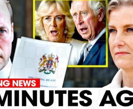 Royal shockwaves are rumbling through Buckingham Palace after new reports claim Prince William has privately given the green light for a title upgrade for Duchess Sophie’s children — a move insiders say would undo decades of agreed positioning and redraw the future pecking order of the monarchy. For a family that treats titles as power signals rather than ornaments, such a shift is being read as the first visible hint of William’s long-term plan for the House of Windsor. And with the Palace refusing to deny or explain a single word, one question is now hanging in the air like a loaded chandelier: If this quiet approval is real — what else has William already set in motion behind closed doors?