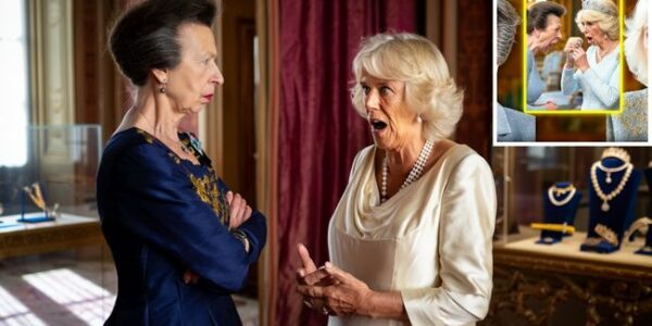 Royal Fiction Friday! Imagine the palace corridors echoing with raised voices, diamonds glinting beneath the chandeliers, and a legacy on the line… In this fictional royal drama, Princess Anne storms into Queen Camilla’s chambers demanding the return of jewels that once belonged to her mother. What follows? A clash of duty, history, and pride that could shatter even the calmest royal composure. Are heirlooms symbols of love or weapons of power? How far would you go to protect your family’s legacy?  Step into the story — a tale of loyalty, secrets, and the kind of tension only Buckingham Palace could hold