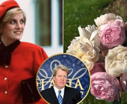 In a quiet act of remembrance that spoke louder than any speech, Earl Spencer marked the 28th anniversary of Princess Diana’s tragic death by laying 28 flowers at her secluded island grave at Althorp. “Each bloom tells her story,” he said — and he meant it. Far from a simple tribute, each flower was reportedly chosen to reflect one of the defining forces of Diana’s life: her fearless defiance of the monarchy’s pressure, the compassion that made her the world’s princess, the silent wounds of betrayal behind gilded doors, and the battles she fought even when she stood entirely alone.  From the outside, it looked like peace — a brother, a lake, and a circle of blooms. But those who understand Diana’s life know that this gesture was anything but gentle nostalgia. Sources close to the family say the real meaning behind those flowers is far more explosive — and one bloom in particular has people asking questions