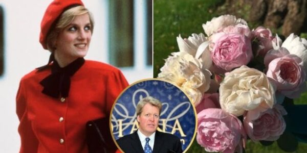 In a quiet act of remembrance that spoke louder than any speech, Earl Spencer marked the 28th anniversary of Princess Diana’s tragic death by laying 28 flowers at her secluded island grave at Althorp. “Each bloom tells her story,” he said — and he meant it. Far from a simple tribute, each flower was reportedly chosen to reflect one of the defining forces of Diana’s life: her fearless defiance of the monarchy’s pressure, the compassion that made her the world’s princess, the silent wounds of betrayal behind gilded doors, and the battles she fought even when she stood entirely alone.  From the outside, it looked like peace — a brother, a lake, and a circle of blooms. But those who understand Diana’s life know that this gesture was anything but gentle nostalgia. Sources close to the family say the real meaning behind those flowers is far more explosive — and one bloom in particular has people asking questions