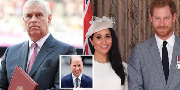 SHOULD PRINCE HARRY AND MEGHAN MARKLE BE STRIPPED OF THEIR ROYAL TITLES LIKE ANDREW?  A fierce wave of controversy has once again erupted within the British Royal Family — this time, the spotlight is on Prince Harry and Meghan Markle. Many British citizens believe the couple are no longer worthy of retaining their royal titles, especially following a series of scandals and their decision to step away from royal duties. Calls to “strip their titles” are spreading rapidly, deeply dividing public opinion. Amid escalating tensions, an insider source has suddenly revealed..