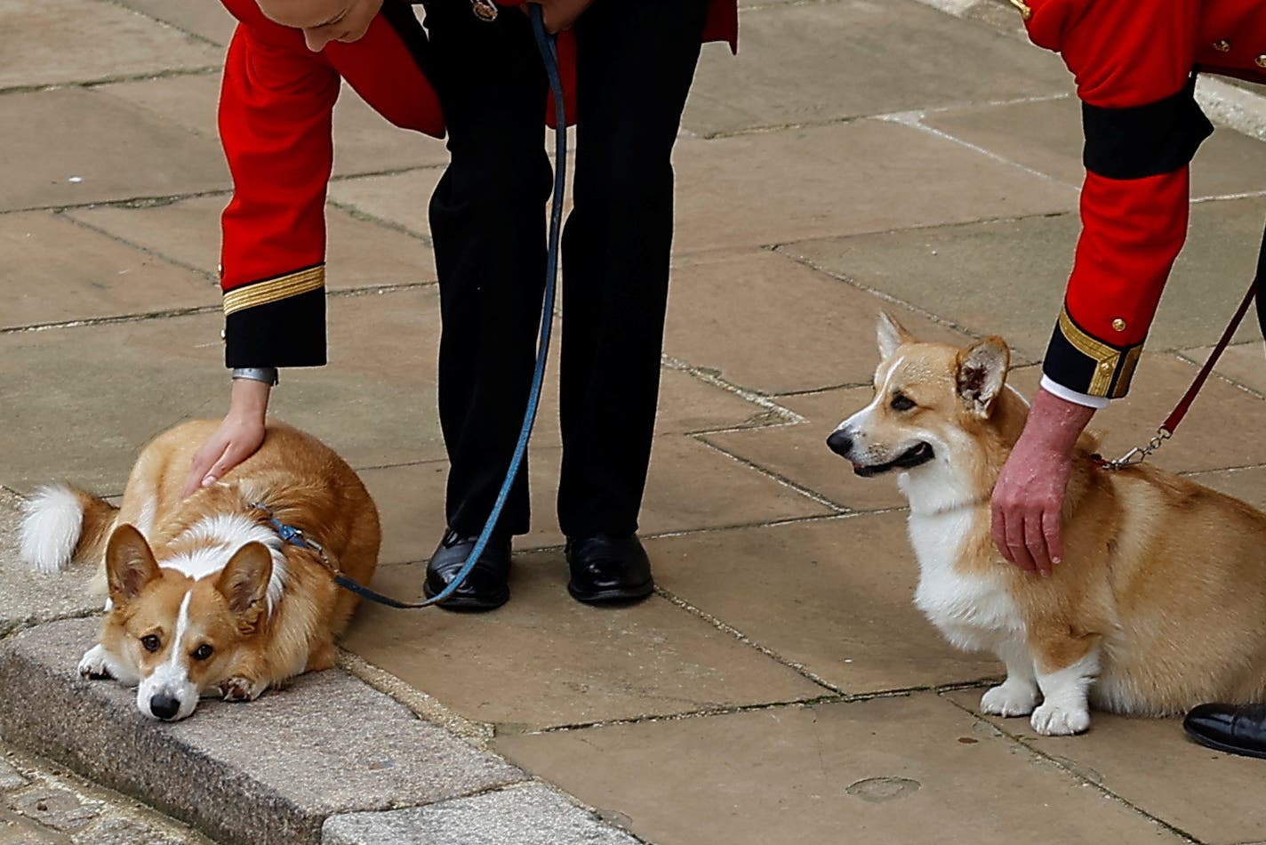 Corgis Muick and Sandy were taken in by Sarah, the Duchess of York, following the late Queen’s death (Peter Nicholls/PA)