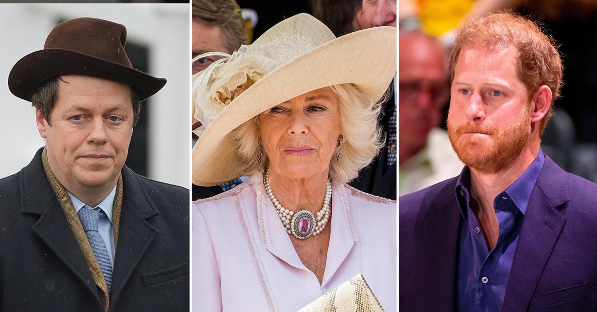 Camilla's Son Hits Back At Prince Harry's Allegations In 'Spare'