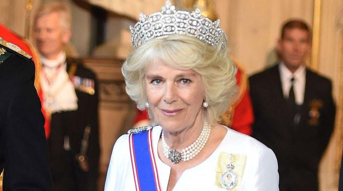 Camilla once warned King Charles she couldn't handle being Queen