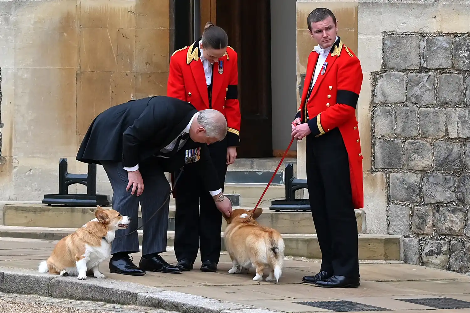 Prince Andrew, Duke of York speaks with members of the Royal Household and plays with the Corgis on September 19, 2022 in Windsor, England. The committal service at St George's Chapel, Windsor Castle, took place following the state funeral at Westminster Abbey. A private burial in The King George VI Memorial Chapel followed. Queen Elizabeth II died at Balmoral Castle in Scotland on September 8, 2022, and is succeeded by her eldest son, King Charles III.