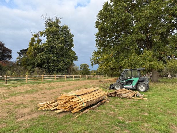 A photo Tina took of work being done in the park
