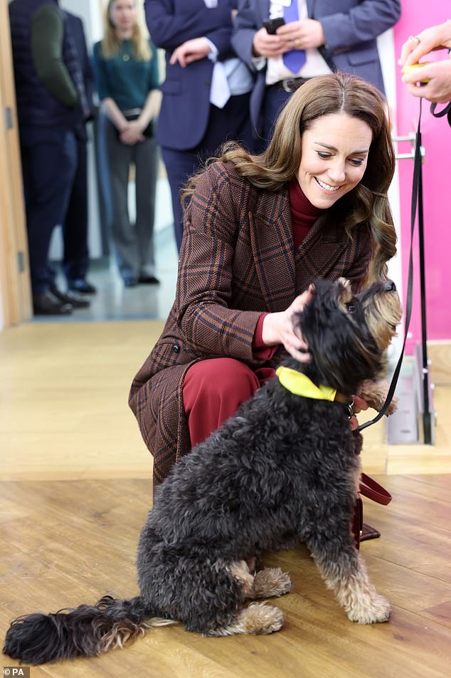 Kate couldn't resist the charms of Bród, former Irish president Michael D Higgins' beloved Bernese Mountain Dog, who sadly passed away in 2023