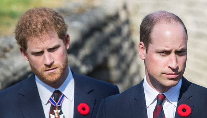 Prince William, Harry to come together for big event in 2026