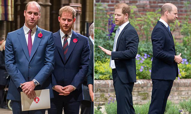 Prince William's rift with Prince Harry is 'not something he can forget  about' | This is Money