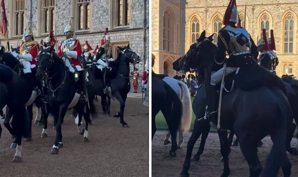 The horses in Windsor The horses in Windsor