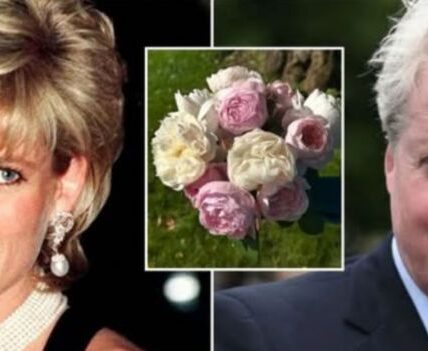 On a quiet morning at Althorp Estate, Earl Spencer walked alone down the willow-lined path to his sister’s resting place. The lake was still, the air heavy with memory. In his hands — 28 white flowers. One for each year since the world lost Princess Diana. As he laid them gently by her grave, he whispered, “Each bloom tells her story.” Each petal carried meaning — her courage against royal expectations, her laughter echoing through hospital halls, her heartbreak hidden behind that radiant smile. One flower for her compassion. One for her rebellion. One for the love she gave so freely, even when it broke her. No cameras. No fanfare. Just the sound of birds, the rustle of wind, and a brother’s devotion that time could never fade.