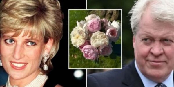 On a quiet morning at Althorp Estate, Earl Spencer walked alone down the willow-lined path to his sister’s resting place. The lake was still, the air heavy with memory. In his hands — 28 white flowers. One for each year since the world lost Princess Diana. As he laid them gently by her grave, he whispered, “Each bloom tells her story.” Each petal carried meaning — her courage against royal expectations, her laughter echoing through hospital halls, her heartbreak hidden behind that radiant smile. One flower for her compassion. One for her rebellion. One for the love she gave so freely, even when it broke her. No cameras. No fanfare. Just the sound of birds, the rustle of wind, and a brother’s devotion that time could never fade. On a quiet morning at Althorp Estate, Earl Spencer walked alone down the willow-lined path to his sister’s resting place. The lake was still, the air heavy with memory. In his hands — 28 white flowers. One for each year since the world lost Princess Diana. As he laid them gently by her grave, he whispered, “Each bloom tells her story.” Each petal carried meaning — her courage against royal expectations, her laughter echoing through hospital halls, her heartbreak hidden behind that radiant smile. One flower for her compassion. One for her rebellion. One for the love she gave so freely, even when it broke her. No cameras. No fanfare. Just the sound of birds, the rustle of wind, and a brother’s devotion that time could never fade.