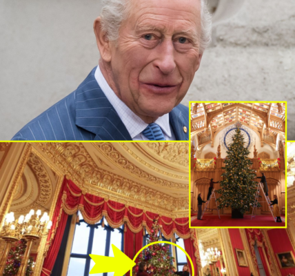 Windsor Castle’s Christmas Decorations Unveiled — STUNNING New Photos Leave Fans in Awe Windsor Castle’s Christmas Decorations Unveiled — STUNNING New Photos Leave Fans in Awe