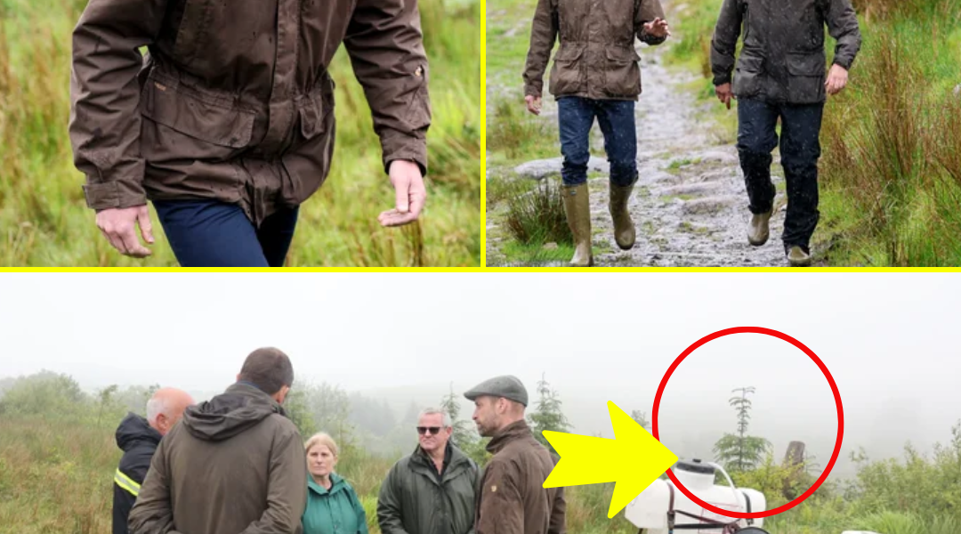 ROYAL SH0:CK: Prince William’s Estate Hit by Vandalism — Willows Pois0:ned in ‘Outrageous Act of Sabotage’ ROYAL SH0:CK: Prince William’s Estate Hit by Vandalism — Willows Pois0:ned in ‘Outrageous Act of Sabotage’