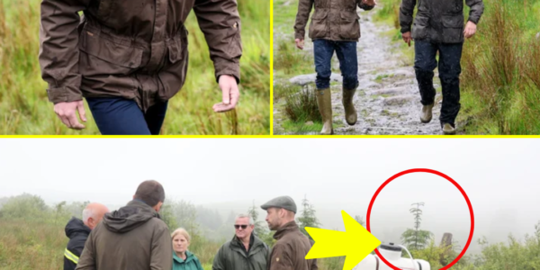 ROYAL SH0:CK: Prince William’s Estate Hit by Vandalism — Willows Pois0:ned in ‘Outrageous Act of Sabotage’