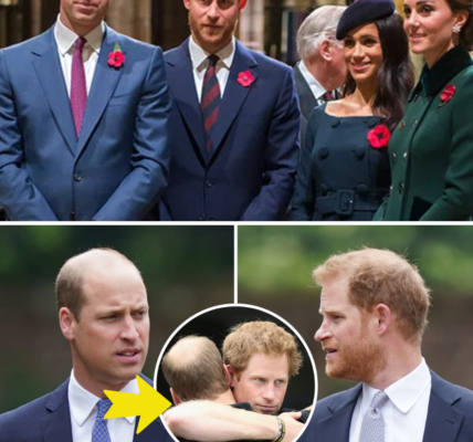 BREAKING: Prince William and Prince Harry Set to REUNITE for a Major 2026 Event — Royal Staff “On Edge” as Palace Prepares for the Most Anticipated Comeback Moment Since the Queen’s Jubilee