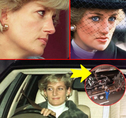 BREAKING: Royal Family THROWN Into Fresh Scrutiny as Princess Diana’s Crash Documents Remain Locked Away — Shocked Britons Demand Answers While Palace Faces Its MOST Explosive Questions in Decades BREAKING: Royal Family THROWN Into Fresh Scrutiny as Princess Diana’s Crash Documents Remain Locked Away — Shocked Britons Demand Answers While Palace Faces Its MOST Explosive Questions in Decades