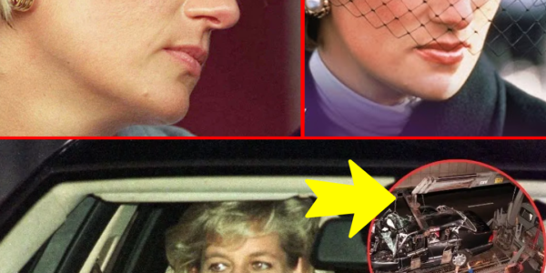 BREAKING: Royal Family THROWN Into Fresh Scrutiny as Princess Diana’s Crash Documents Remain Locked Away — Shocked Britons Demand Answers While Palace Faces Its MOST Explosive Questions in Decades BREAKING: Royal Family THROWN Into Fresh Scrutiny as Princess Diana’s Crash Documents Remain Locked Away — Shocked Britons Demand Answers While Palace Faces Its MOST Explosive Questions in Decades