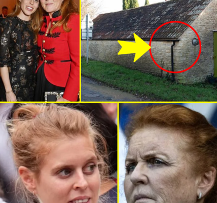 JUST IN: Princess Beatrice SPARKS FRENZY After Renovation Work Spotted at Annexe Beside Her £3.5M Mansion — Comes JUST As Fergie Intensifies Her Own Home Hunt JUST IN: Princess Beatrice SPARKS FRENZY After Renovation Work Spotted at Annexe Beside Her £3.5M Mansion — Comes JUST As Fergie Intensifies Her Own Home Hunt