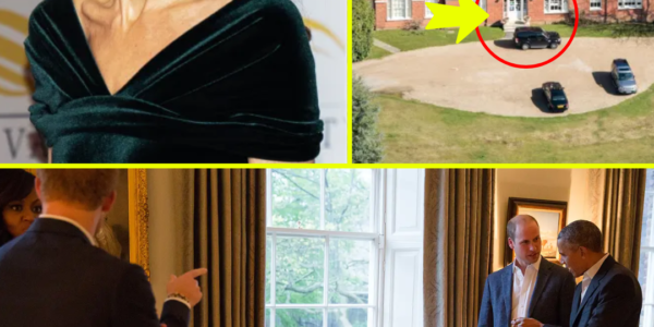 BREAKING: How Kate Middleton Is Flaunting Her Interior Design Expertise at New ‘Forever Home’ — Fans Stunned by Royal Touches