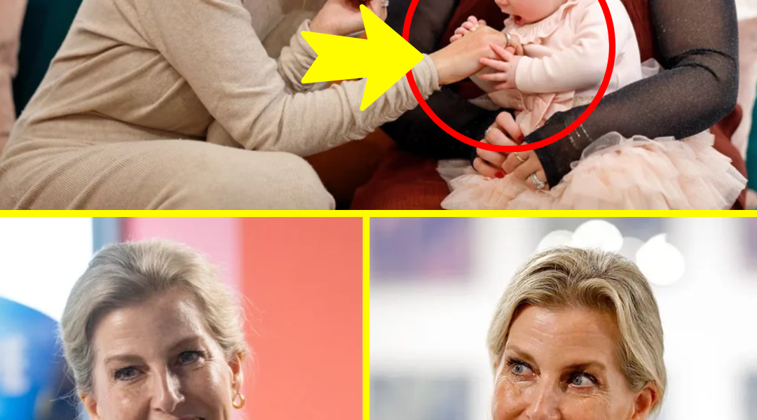 BREAKING NOW! Duchess of Edinburgh stuns the nation as she steps out in a sleek £200 jumper dress — and NO ONE expected her to pull off this surprise fashion power move… BREAKING NOW! Duchess of Edinburgh stuns the nation as she steps out in a sleek £200 jumper dress — and NO ONE expected her to pull off this surprise fashion power move…