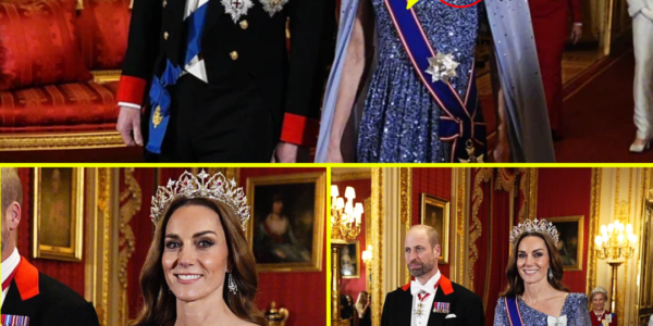 BREAKING: Princess Kate STUNS in a Floor-Length Gown and a NEVER-BEFORE-WORN TIARA — Royal Fans Say They’ve Never Seen Her This Radiant
