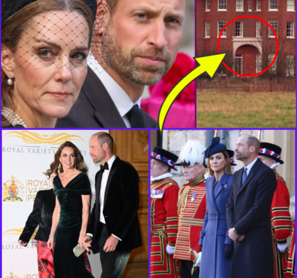 ROYAL SHOCKER: Princess Kate’s Secret Comment About Her New ‘Forever Home’ Forest Lodge Caught by Lip Reader — “This Changes EVERYTHING”
