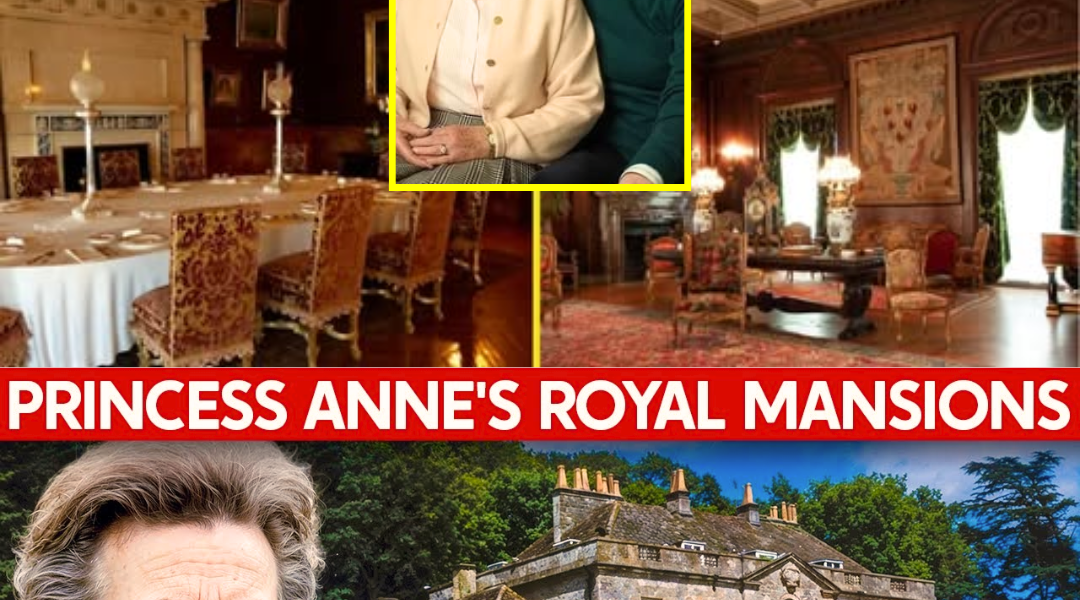 2 HOURS AGO: Inside Princess Anne’s “Old Money” Mansions Left by the Late Queen — You Won’t Believe What She Inherited 2 HOURS AGO: Inside Princess Anne’s “Old Money” Mansions Left by the Late Queen — You Won’t Believe What She Inherited