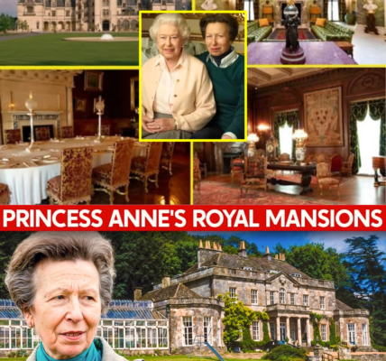 2 HOURS AGO: Inside Princess Anne’s “Old Money” Mansions Left by the Late Queen — You Won’t Believe What She Inherited