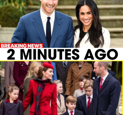 BREAKING: Prince Harry and Meghan Markle Releases SH0CKING MESSAGE Ahead Of Royal Family Christmas Walk – Buckingham Left Speechless