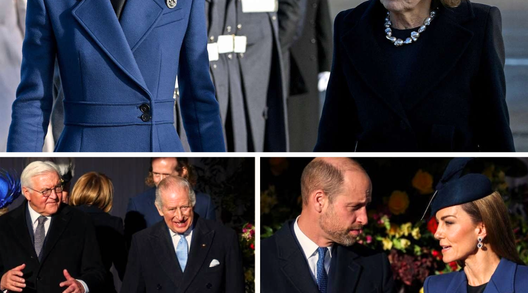 LOOK! Princess Catherine Utmost Glamor In Stunning Navy Outfit as She Carries Out KEY ROLE at German State Visit – Fans discovered an Unexpected Detail