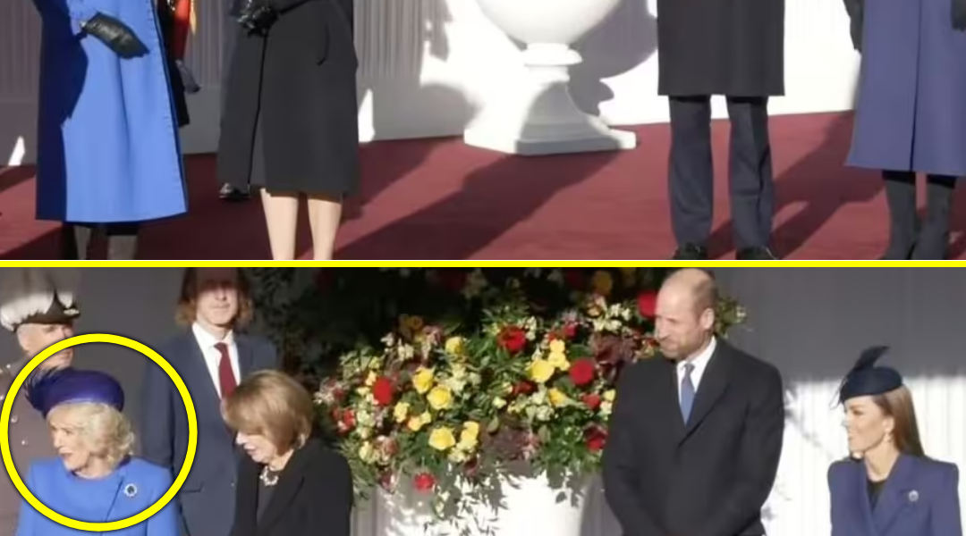 CAUGHT ON CAMERA: Camilla SNUBS Catherine’s Curtsey at German State Ceremony — But the Princess’s SH0CKING Response Leaves Windsor Gasping
