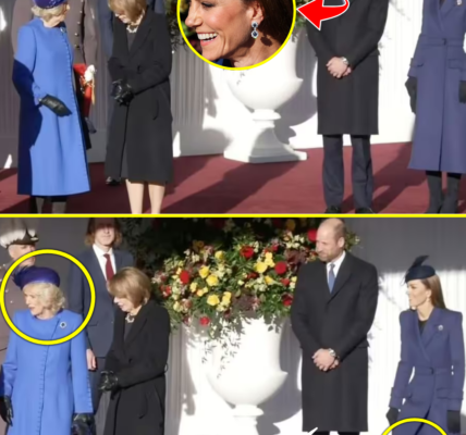 CAUGHT ON CAMERA: Camilla SNUBS Catherine’s Curtsey at German State Ceremony — But the Princess’s SH0CKING Response Leaves Windsor Gasping