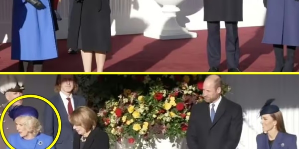 CAUGHT ON CAMERA: Camilla SNUBS Catherine’s Curtsey at German State Ceremony — But the Princess’s SH0CKING Response Leaves Windsor Gasping