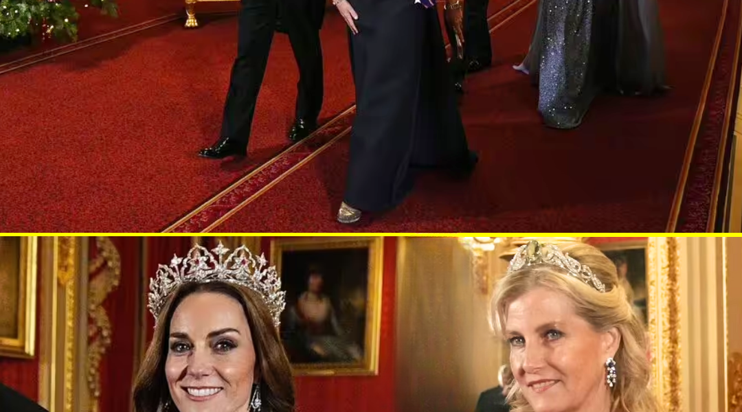 OMG! Princess Catherine and Duchess Sophie STUN In Glittering Gowns and NEWS TIARAS As They Honour the Late Queen Elizabeth at State Banquet OMG! Princess Catherine and Duchess Sophie STUN In Glittering Gowns and NEWS TIARAS As They Honour the Late Queen Elizabeth at State Banquet