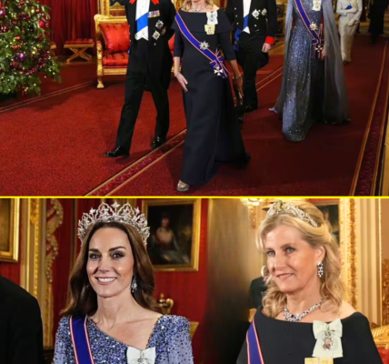 OMG! Princess Catherine and Duchess Sophie STUN In Glittering Gowns and NEWS TIARAS As They Honour the Late Queen Elizabeth at State Banquet OMG! Princess Catherine and Duchess Sophie STUN In Glittering Gowns and NEWS TIARAS As They Honour the Late Queen Elizabeth at State Banquet
