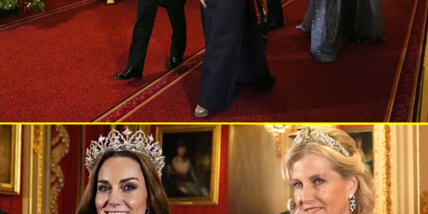 OMG! Princess Catherine and Duchess Sophie STUN In Glittering Gowns and NEWS TIARAS As They Honour the Late Queen Elizabeth at State Banquet OMG! Princess Catherine and Duchess Sophie STUN In Glittering Gowns and NEWS TIARAS As They Honour the Late Queen Elizabeth at State Banquet