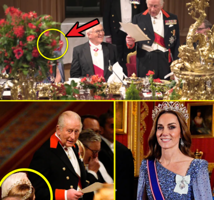 “SO FROUD OF YOU” – Princess Catherine in TEARS by King Charles’ EMOTIONAL SPEECH at the lavish state banquet in St George’s Hall “SO FROUD OF YOU” – Princess Catherine in TEARS by King Charles’ EMOTIONAL SPEECH at the lavish state banquet in St George’s Hall