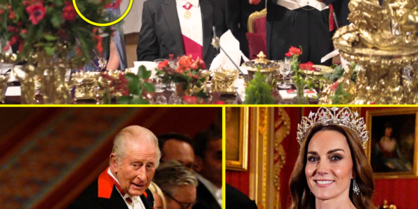 “SO FROUD OF YOU” – Princess Catherine in TEARS by King Charles’ EMOTIONAL SPEECH at the lavish state banquet in St George’s Hall “SO FROUD OF YOU” – Princess Catherine in TEARS by King Charles’ EMOTIONAL SPEECH at the lavish state banquet in St George’s Hall