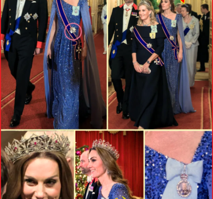 Historic Moment: Princess Catherine STEALS the Night at the lavish state banquet in St George’s Hall With Sparkling Blue Gown and Never-seen-before Rare Tiara Historic Moment: Princess Catherine STEALS the Night at the lavish state banquet in St George’s Hall With Sparkling Blue Gown and Never-seen-before Rare Tiara