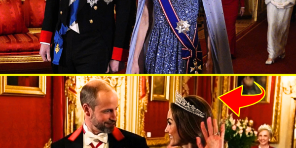 CAUGHT ON CAMERA: William’s SWEET Gesture For Her Wife Catherine at German State Banquet Made Fans Swoon!