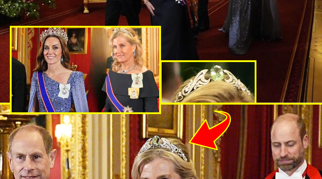 OMG!! Duchess Sophie’s £1 Million Tiara STEALS the SHOW as She & Princess Catherine Step Into CRUCIAL Roles at German State Banquet — The Historic Story Leaves Windsor SPEECHLESS OMG!! Duchess Sophie’s £1 Million Tiara STEALS the SHOW as She & Princess Catherine Step Into CRUCIAL Roles at German State Banquet — The Historic Story Leaves Windsor SPEECHLESS