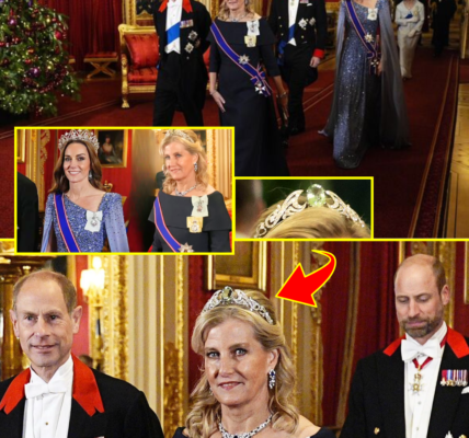 OMG!! Duchess Sophie’s £1 Million Tiara STEALS the SHOW as She & Princess Catherine Step Into CRUCIAL Roles at German State Banquet — The Historic Story Leaves Windsor SPEECHLESS